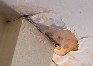 ceiling water damage and mold